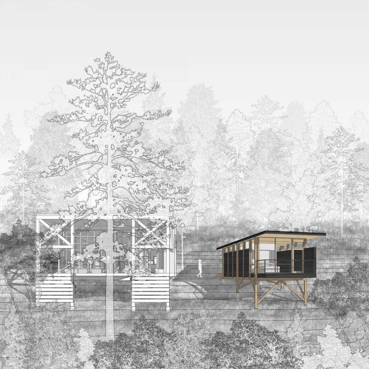 Деревянная пристройка к архитектурно значимой каюте на острове Декейтер