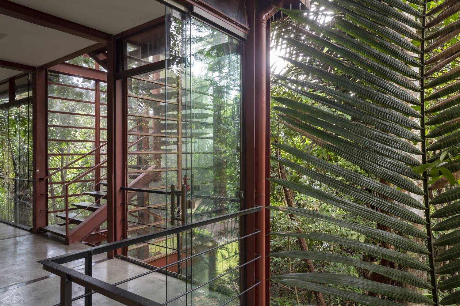 Дом в тропических лесах с панорамной полувинтовой лестницей